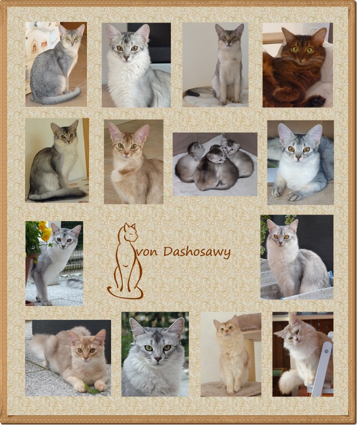 - Collage neu 800 - Collage neu 800