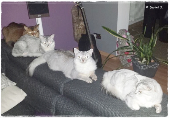 15.11.23 Findus-Kechi-Ira-Quappi -