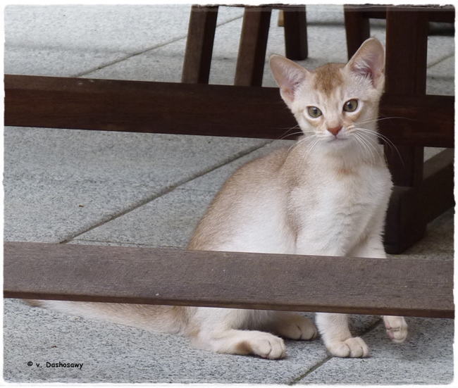 16.07.09 1220907-650