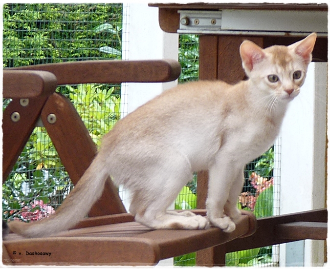 16.07.09 1220919-650