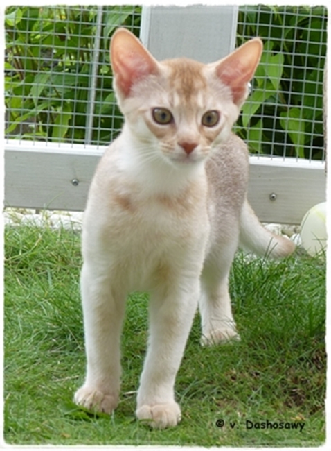 16.07.22 1230060-650