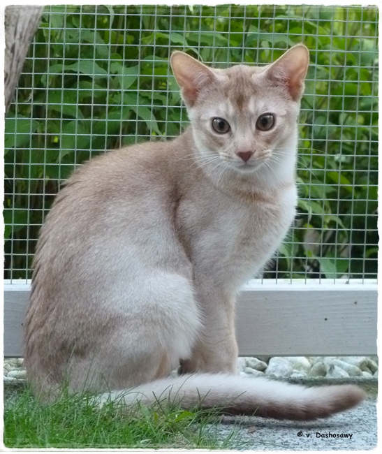 16.09.09 Dhariyu 1230387 - 650