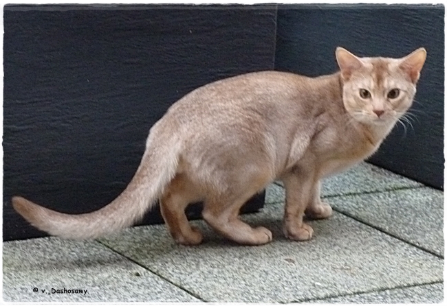 16.11.18 Dhariyu 1230749-650