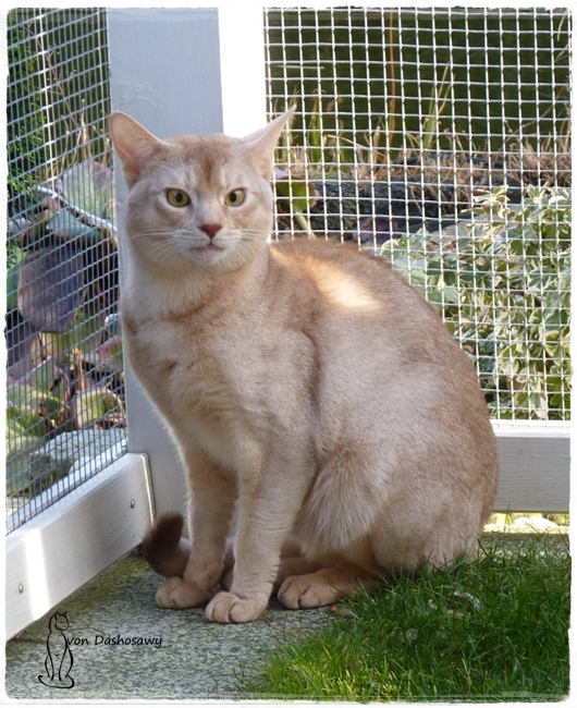 17.02.24 Dhariyu 1240083 650