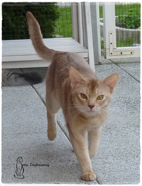 17.03.30 Dhariyu 1240145