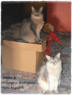 17.12.17 Malika 001 --