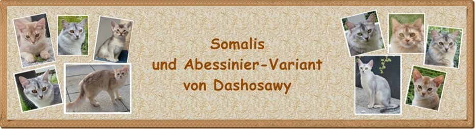 Bannder groe Version neu-mit Rahmen