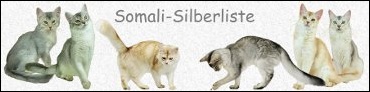 Banner Silberliste