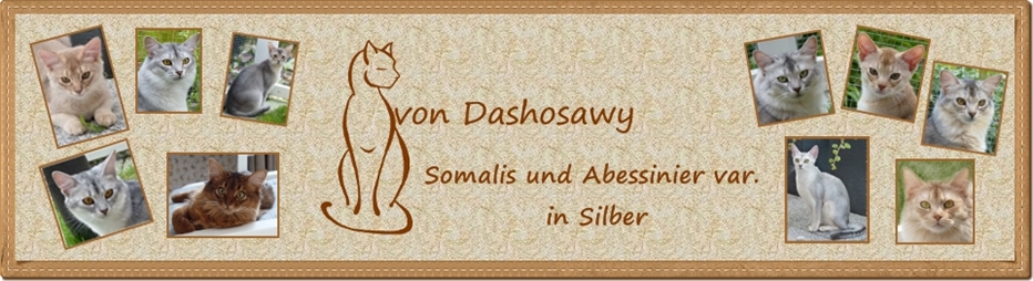 Banner groß komplett neue Version 17.02.11 m 1. Schrift und Rahmen Banner groß komplett neue Version 17.02.11 m 1. Schrift und Rahmen