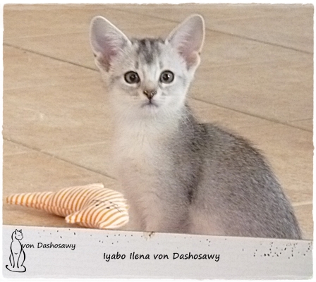 II 17.10.21 1280108 ilena II 17.10.21 1280108 ilena