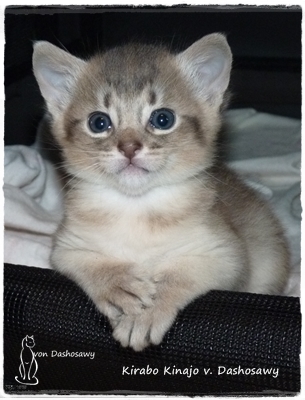 KK 19.01.05 1310987 yo