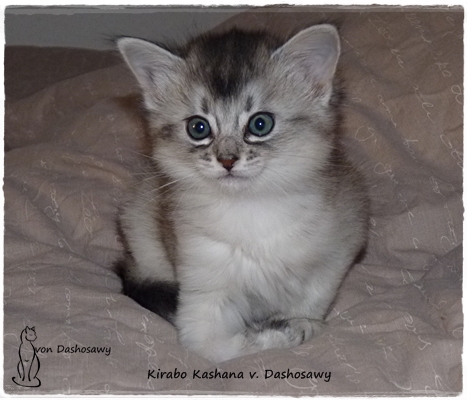 KK 19.01.18 1320281 na