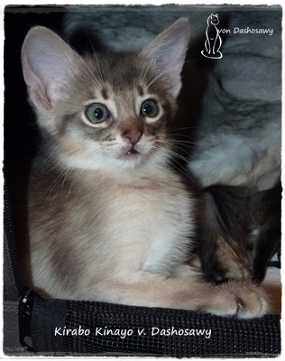 KK 19.01.29 1320603 yo