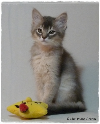 M 11.10.18 50 Malika M 11.10.18 50 Malika