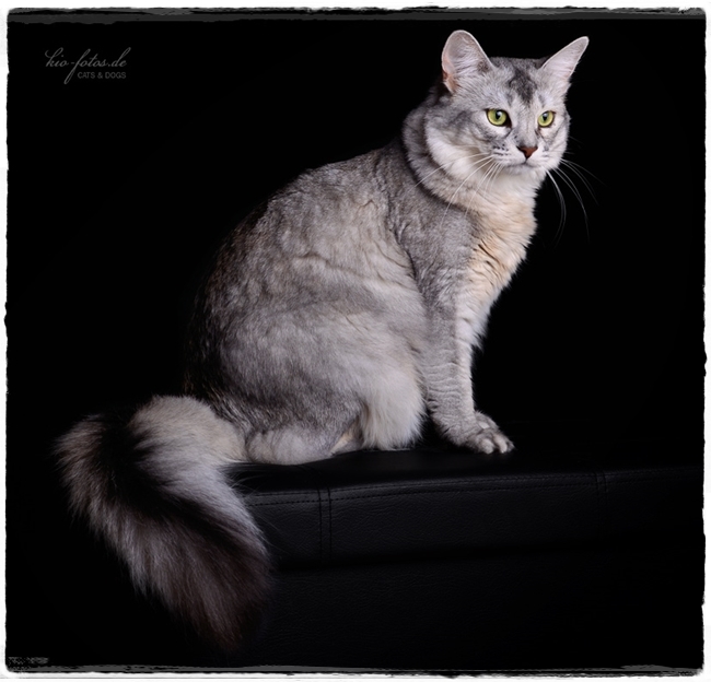 Malengo kio-fotos-0921--