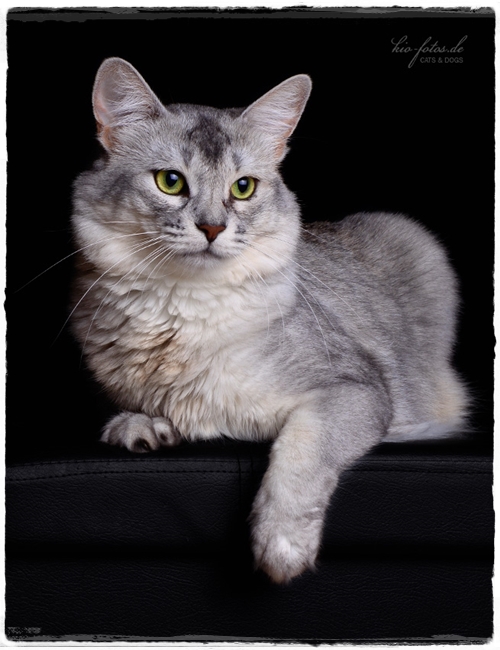 Malengo kio-fotos-0924--