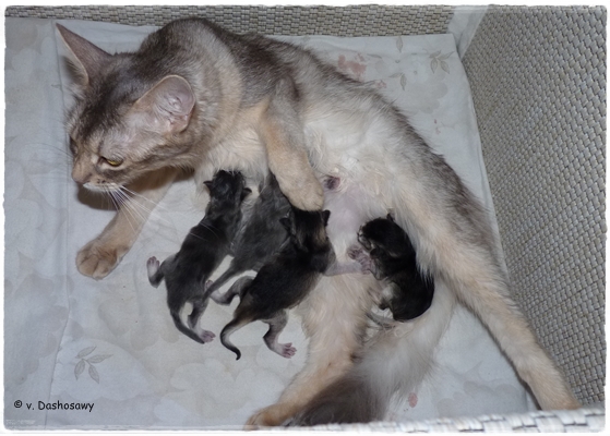 R 12.11.08 1150472 alle R 12.11.08 1150472 alle