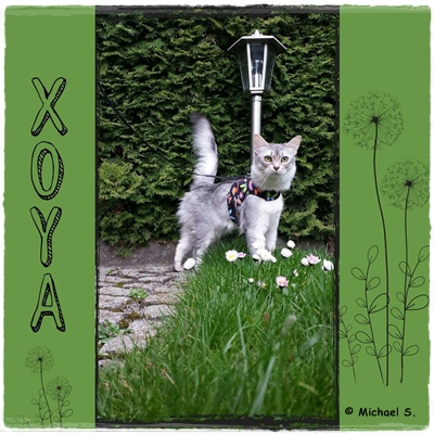 umg_Xoya 16.04.19 13023191