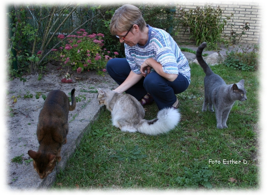 umgezogen_Lakeyo_5 Garten